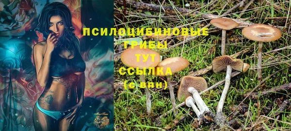 а пвп мука Алзамай